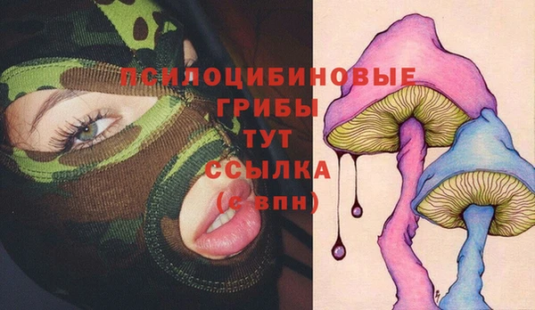 винт Алексеевка