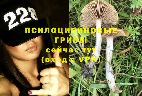 винт Алексин
