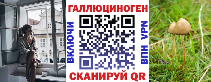 где купить наркотик  Октябрьск  Псилоцибиновые грибы Psilocybine cubensis 